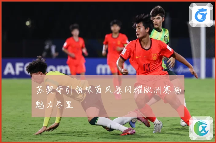 苏契奇引领绿茵风暴闪耀欧洲赛场魅力尽显